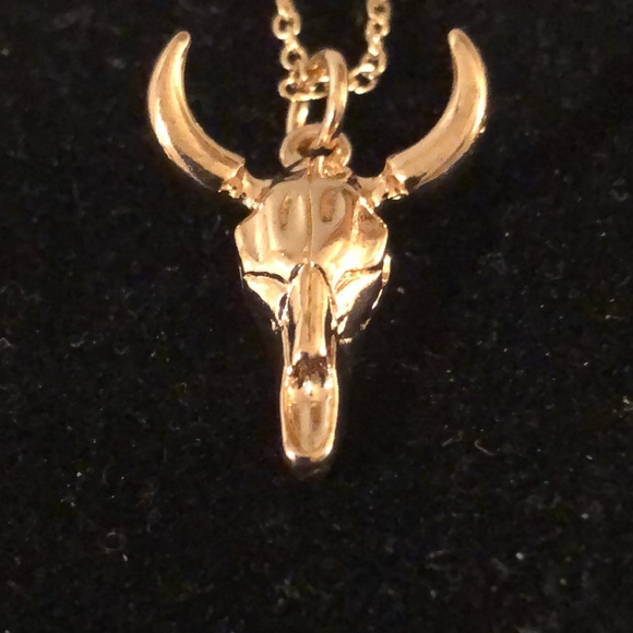 Jewelry - - Western Skull Necklace/Pendant